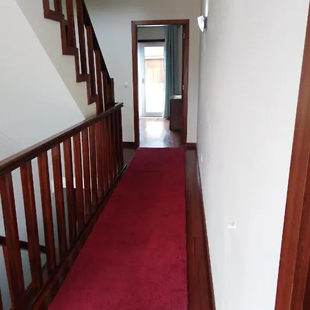 Ares Vieira * 维埃拉·多米尼奥