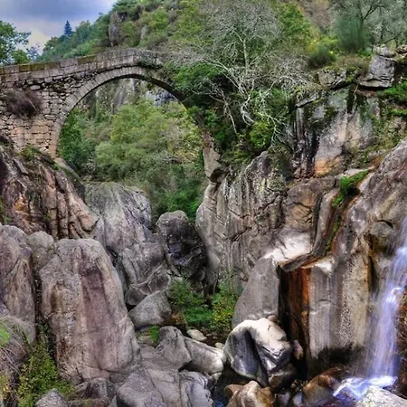 Ares Vieira 维埃拉·多米尼奥